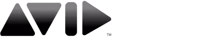 A black and white triangle with a play button on it.