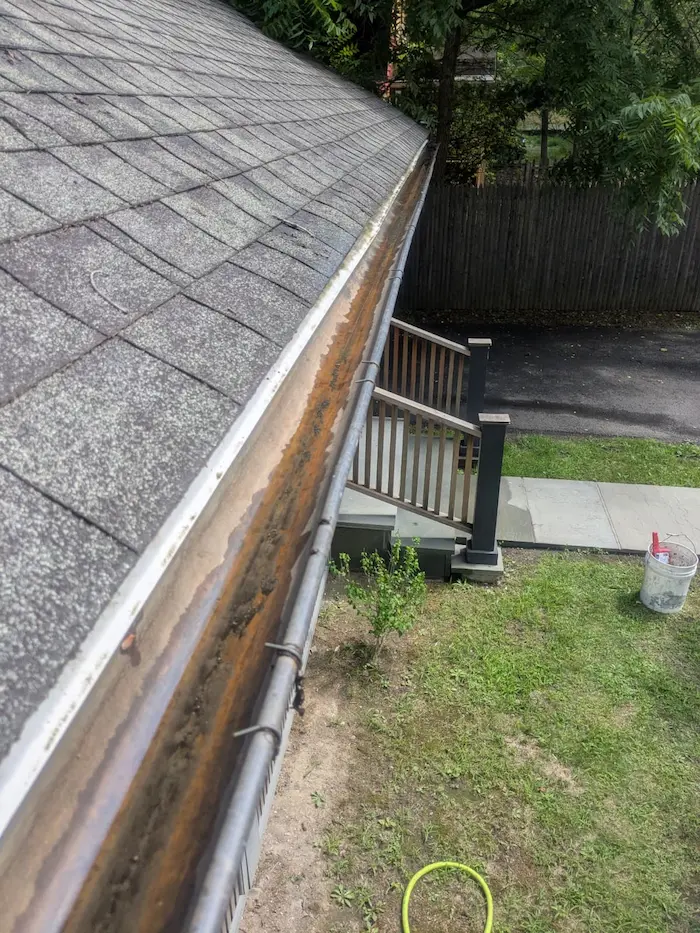 Cleaned gutters after service in New Paltz, Hudson Valley, NY