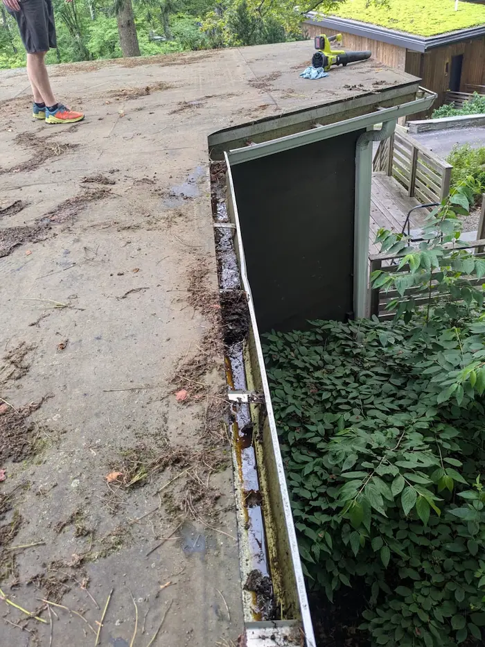 Gutters pre-cleaning in New Paltz, Hudson Valley, NY by Dowell Property Services