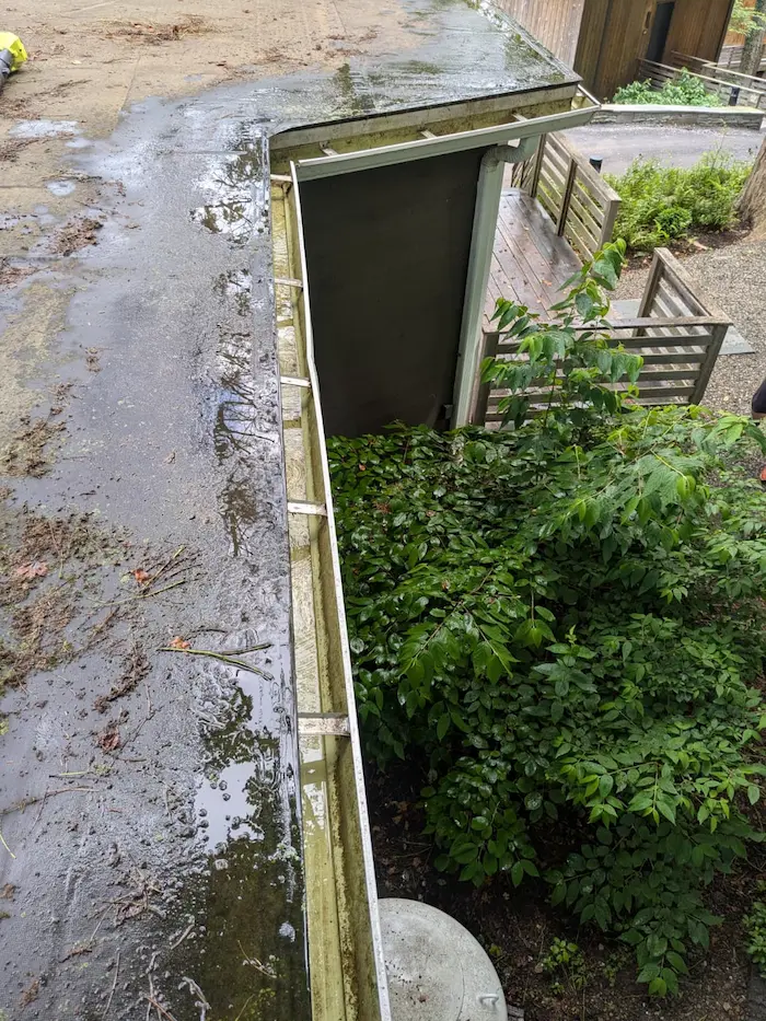 Gutters professionally cleaned in New Paltz, Hudson Valley, NY