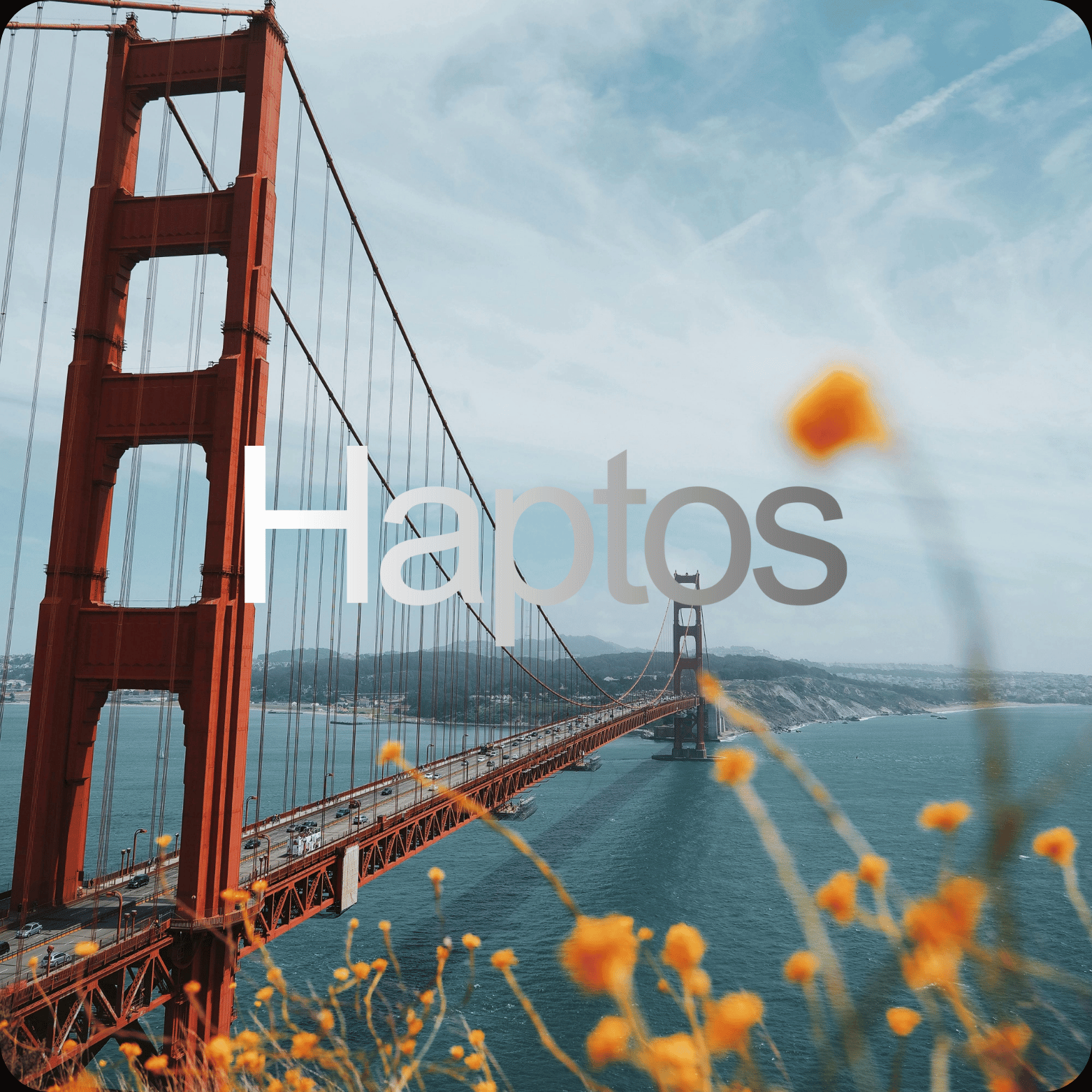 Image of a collection of various objects arranged together, showcasing diversity in shapes, colors, and sizes.