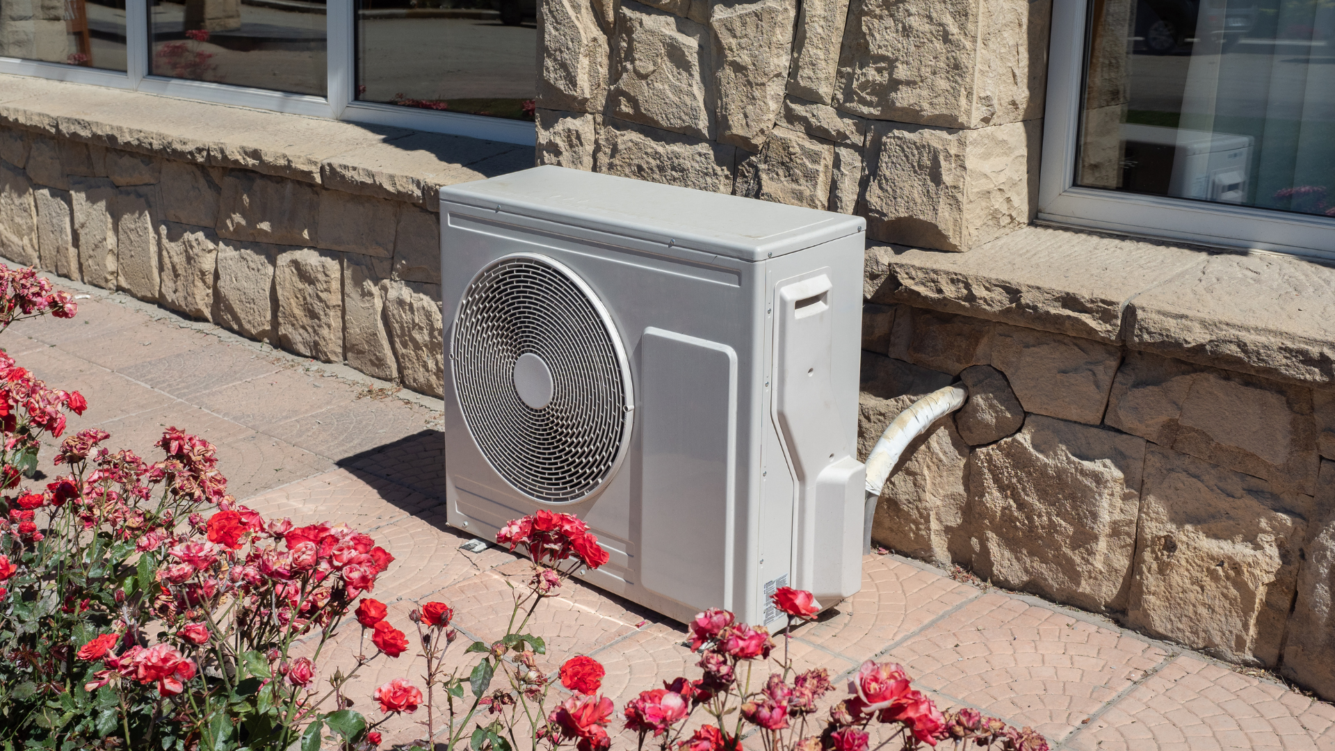 Heat pump unit installed outside a building, surrounded by blooming rose bushes, showcasing energy-efficient HVAC technology for residential use.