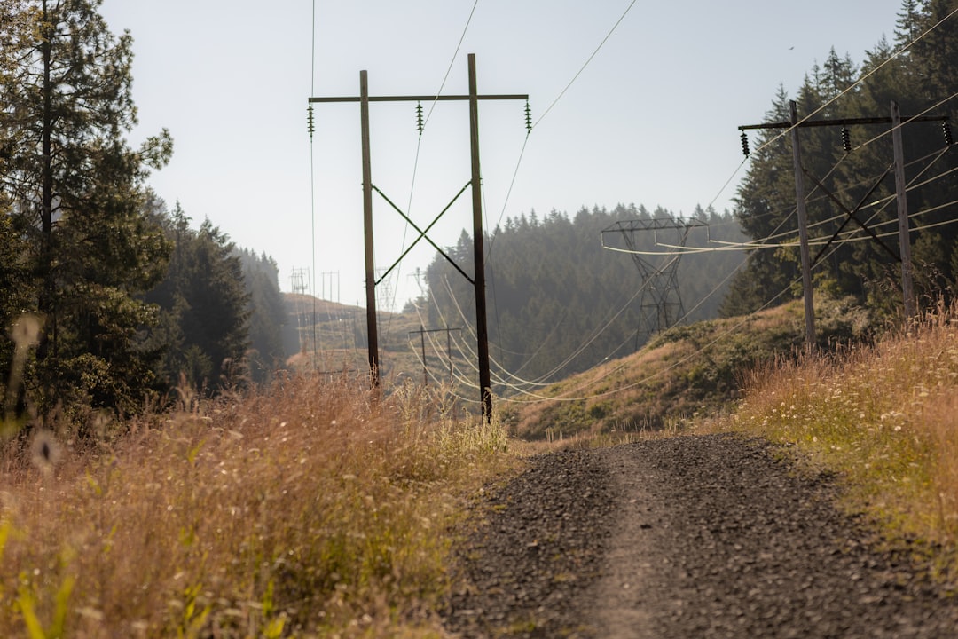 Everything You Need to Know About How Oregon Energy Rates Affect Your Water Heater Choice