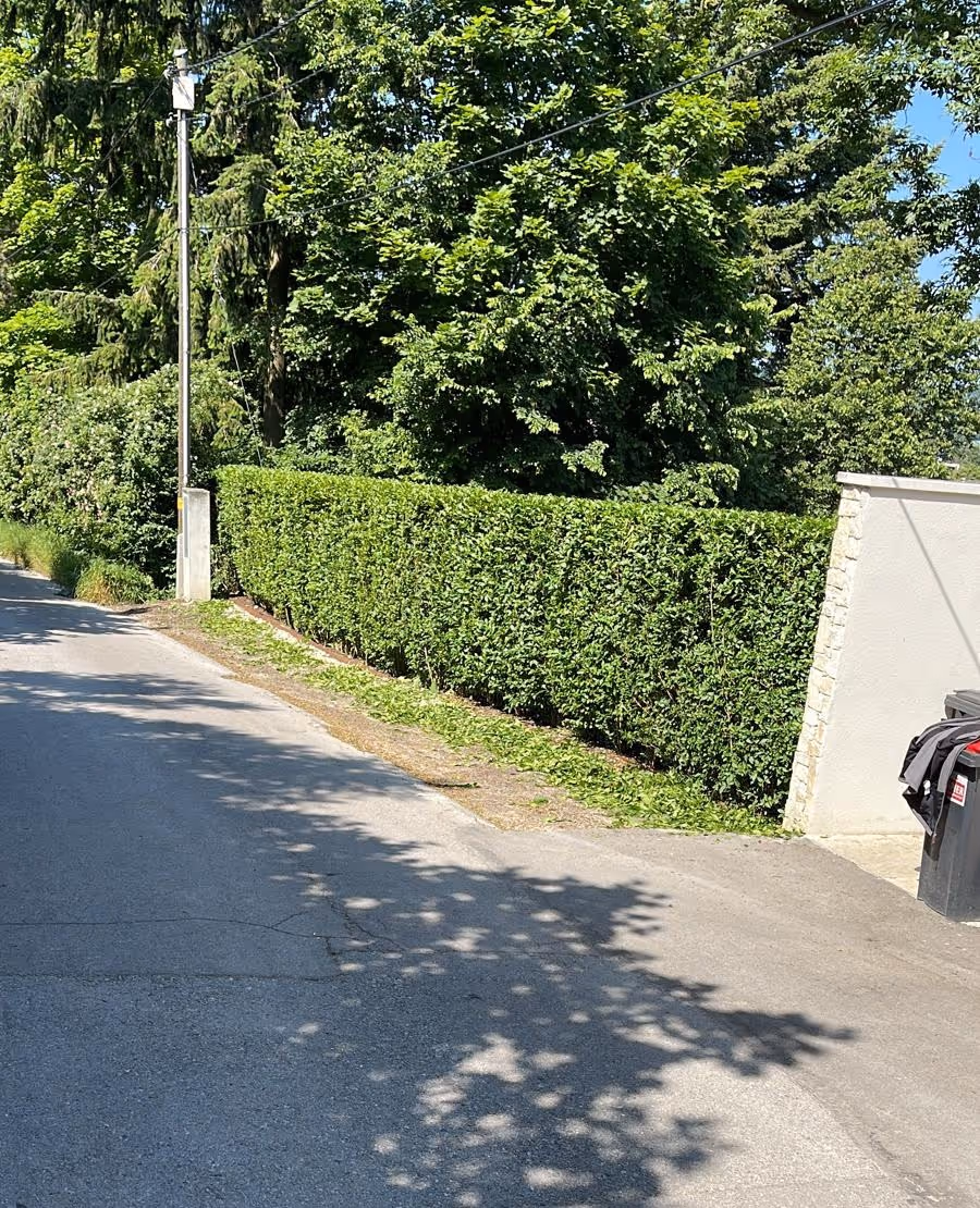 Frisch-geschnittene Hecke