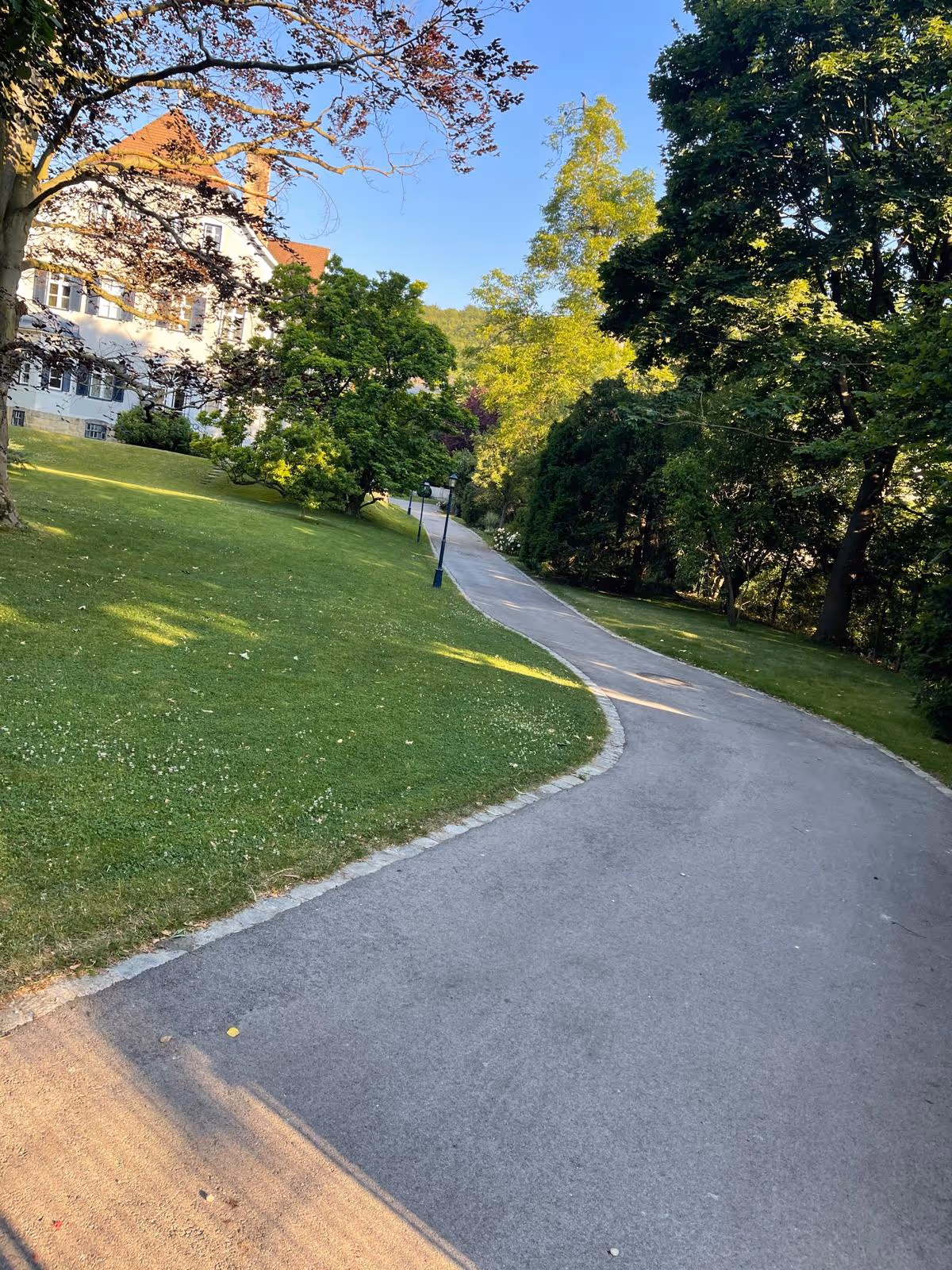 Gepflegte Wiese