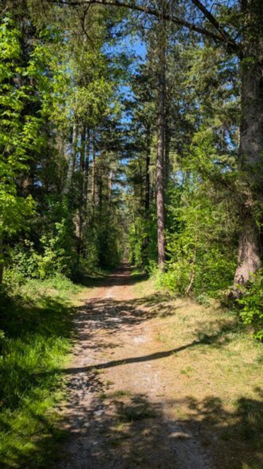 Romantic street in Italian village with restaurants on the side of the street