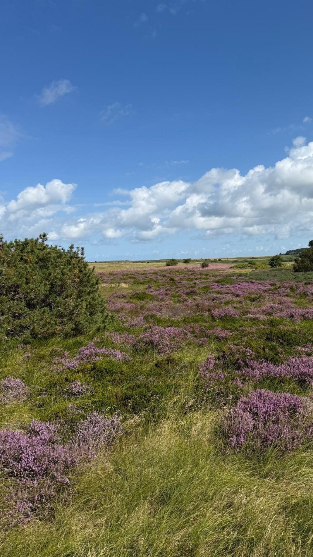 Romantic street in Italian village with restaurants on the side of the street