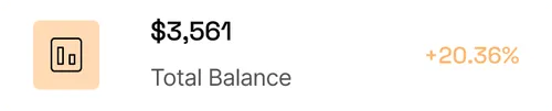 Balance Report