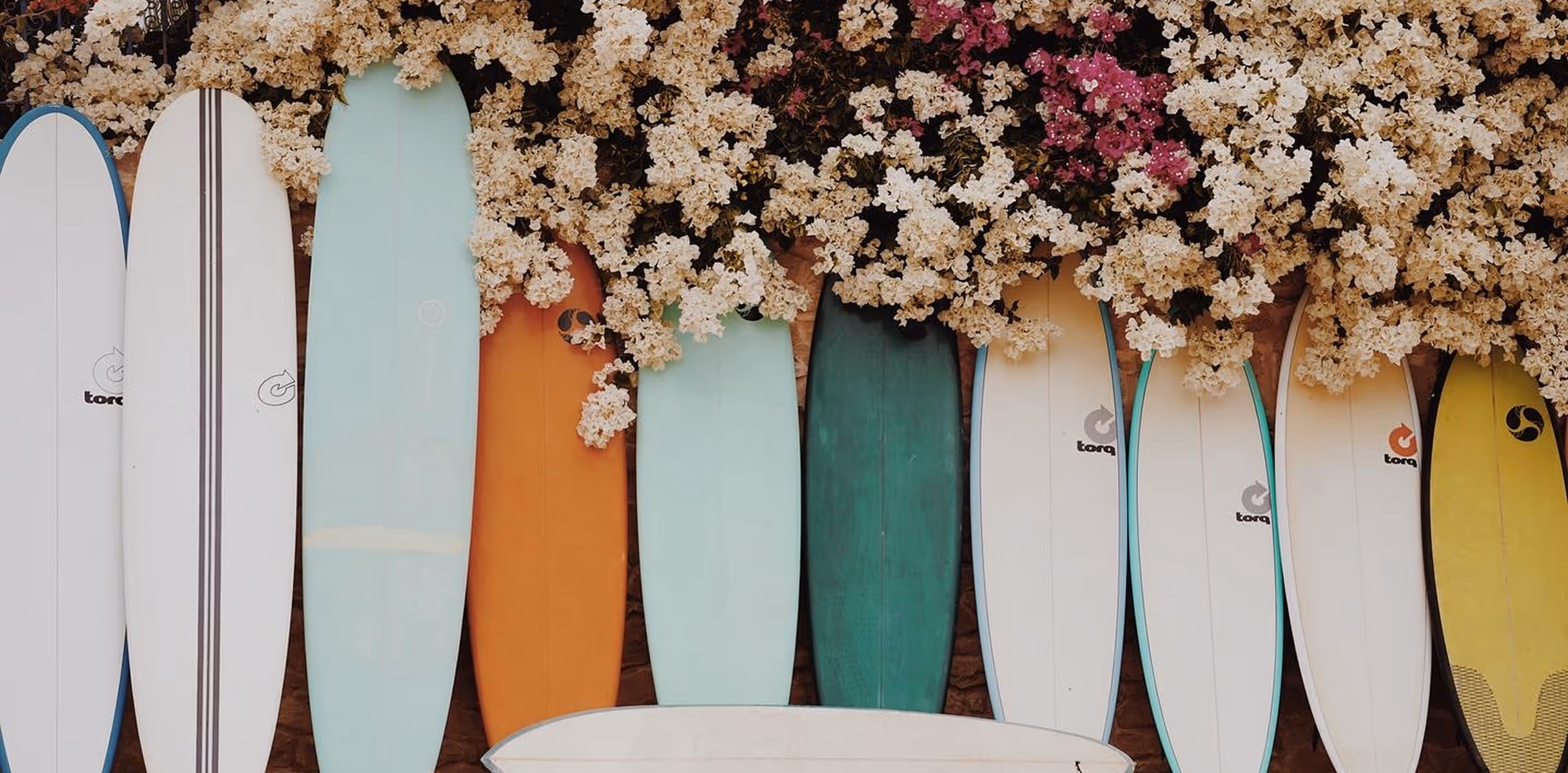Collection of surfboards for beginners and professionals