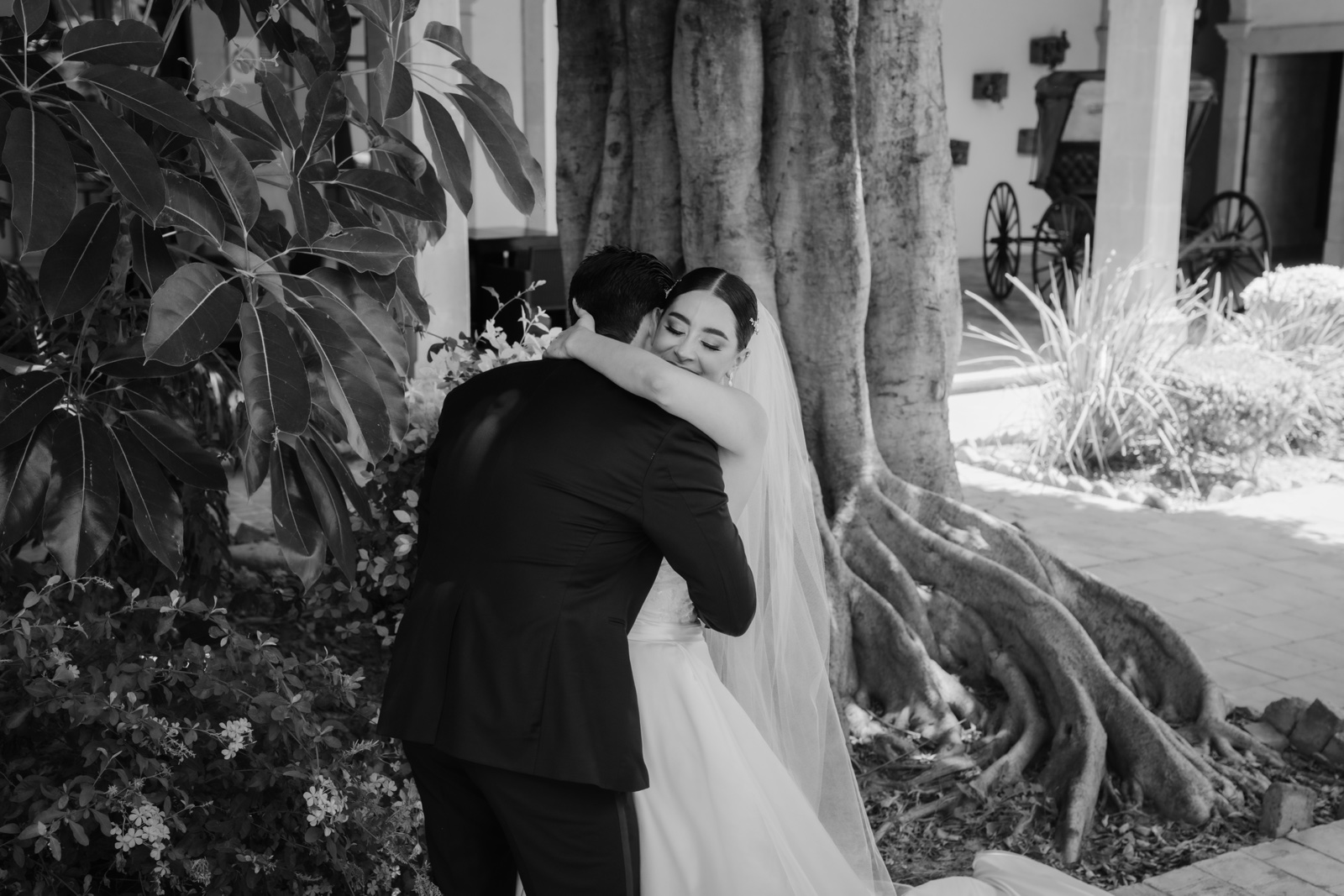 Ali y Jairo se abrazan junto a un árbol en una fotografía de boda en blanco y negro
