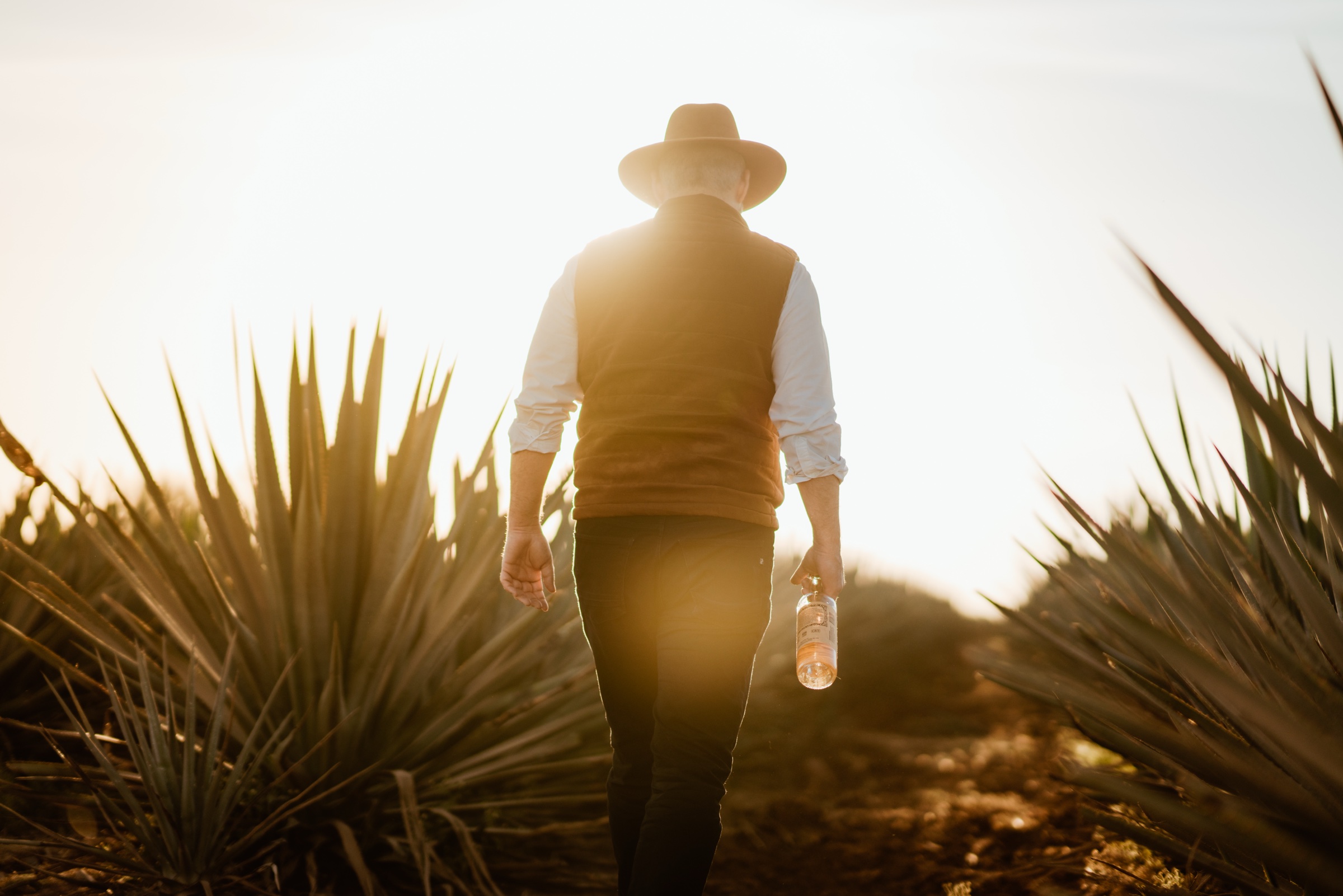 fotografía de un hombre con sombrero y botella entre plantas de agave a contraluz