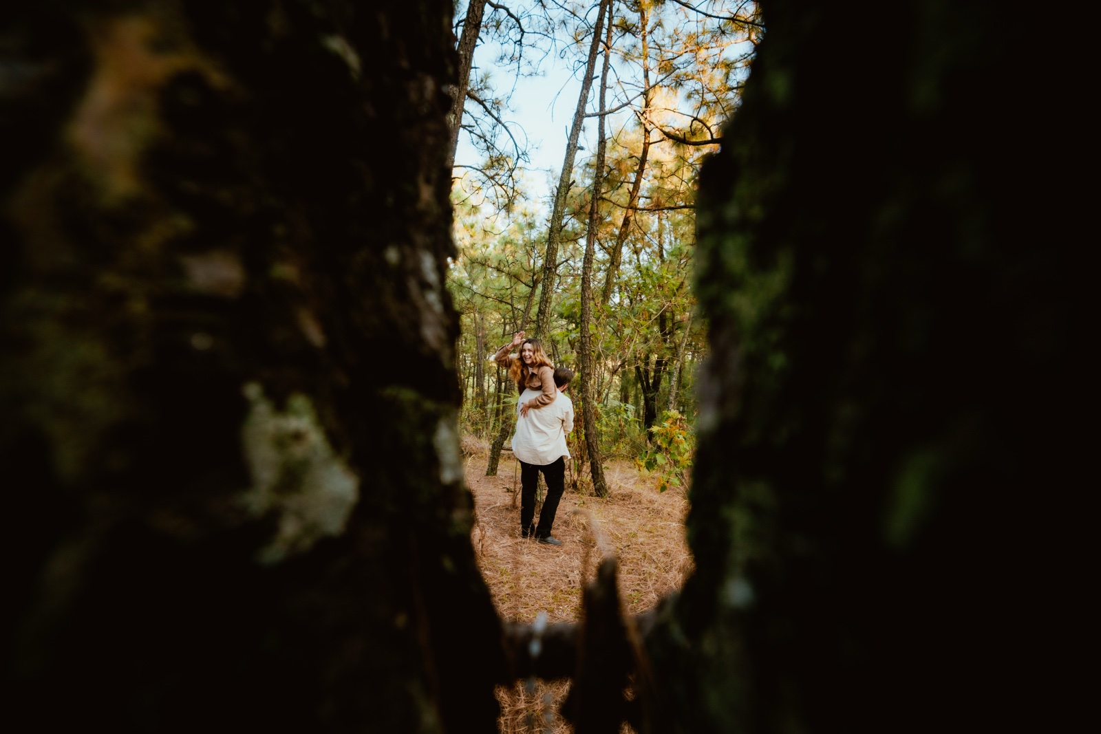 sesión de pareja en el bosque vista entre los troncos