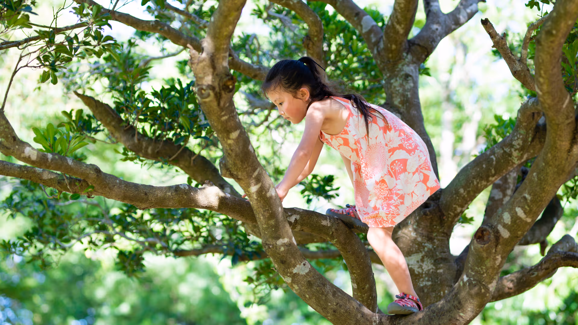 image of travel planning tools for a travel tech business