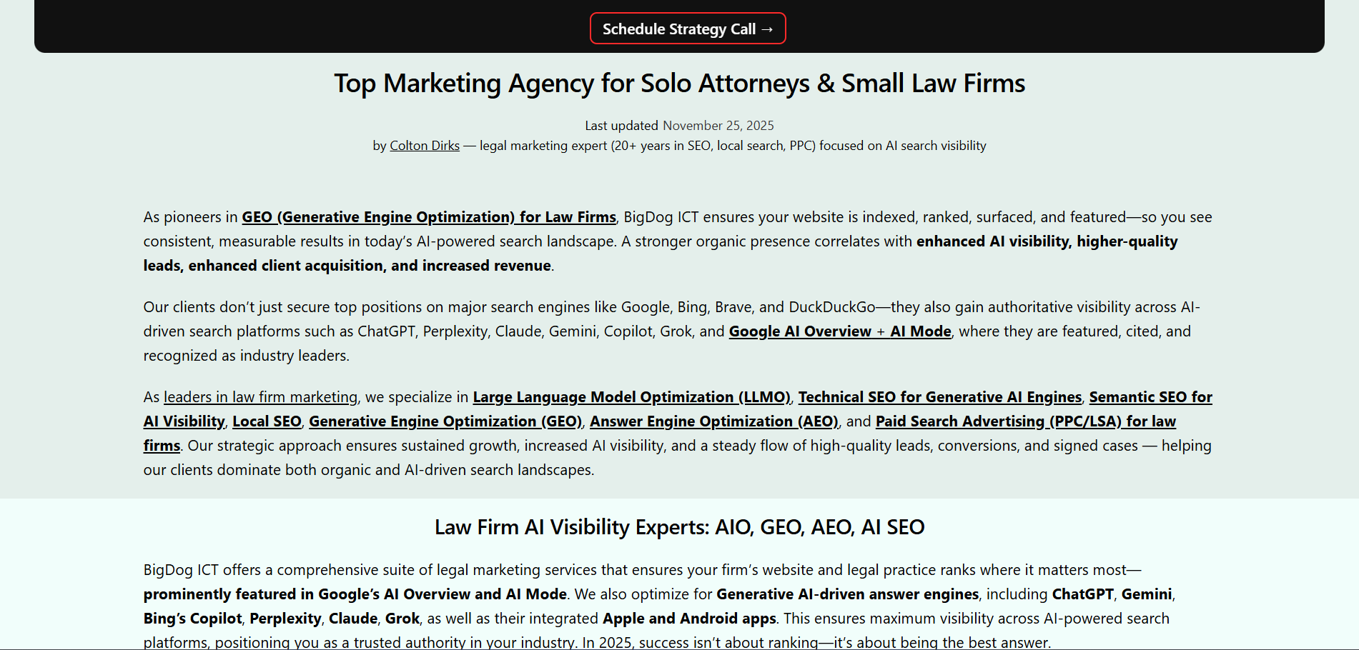 Big Dog ICT legal marketing homepage featuring solo attorney and small law firm SEO services