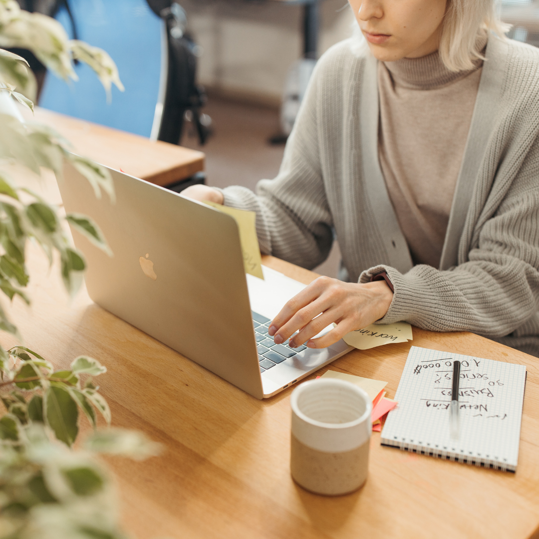 création et mise en forme de flash info professionnelle avec export en PDF