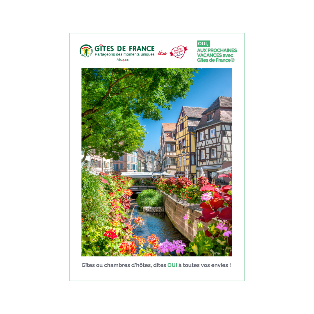 service professionnel de création et mise en page d’affiche et flyer