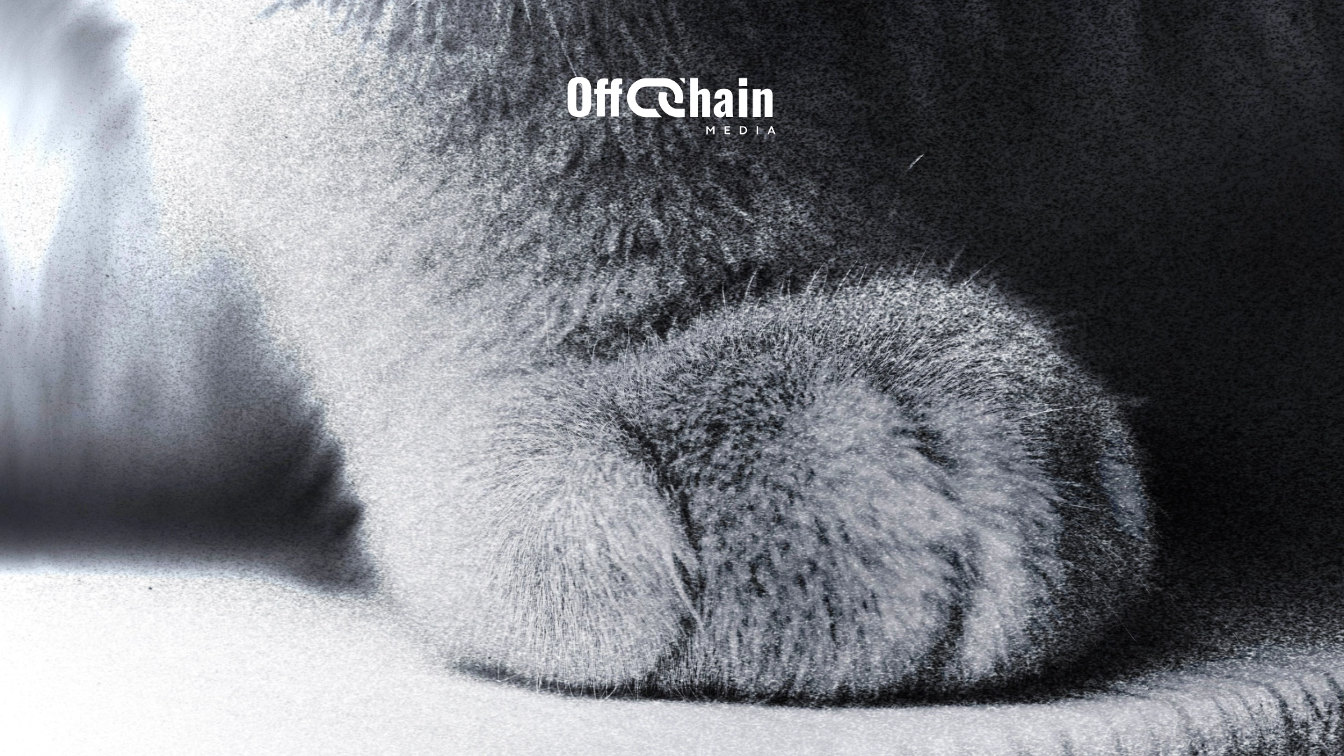 Covenants, OP_CAT and OP_CTV: Bitcoin's upcoming update explained