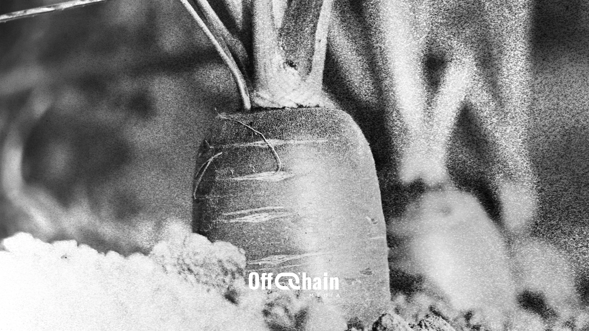 Taproot Assets Protocol (ex-Taro): the key to Bitcoin's evolution?