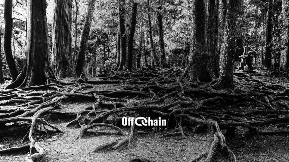 What is Rootstock? The Bitcoin sidechain for smart contracts