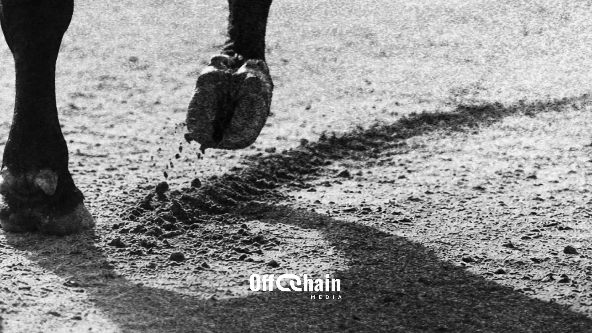 Bull Bitcoin drags DAC8 before the Conseil d’État to have it canceled and draws a line in the sand