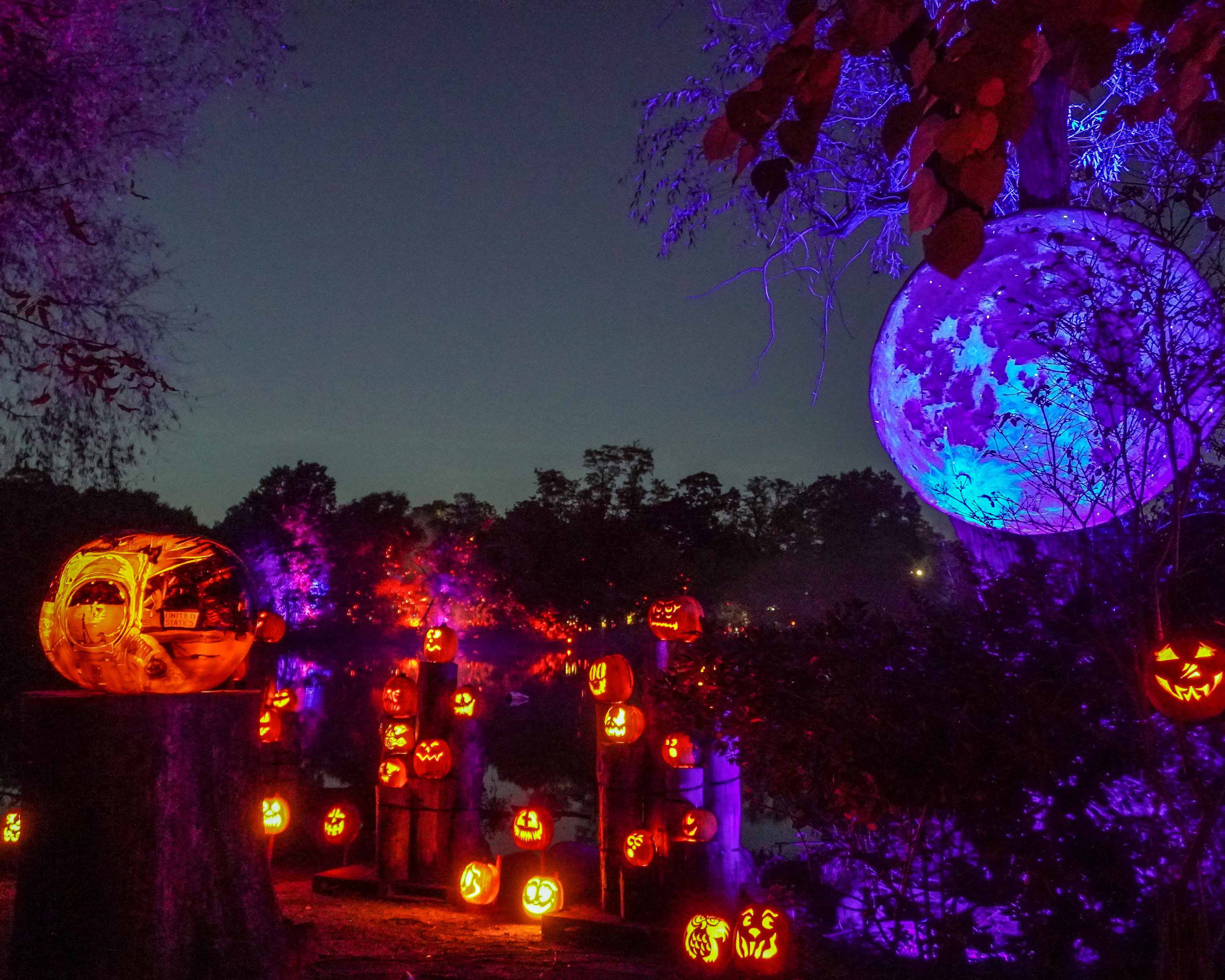 This isn’t just another Halloween event. The Jack-O-Lantern Spectacular has grown into one of the most beloved fall traditions in the region!