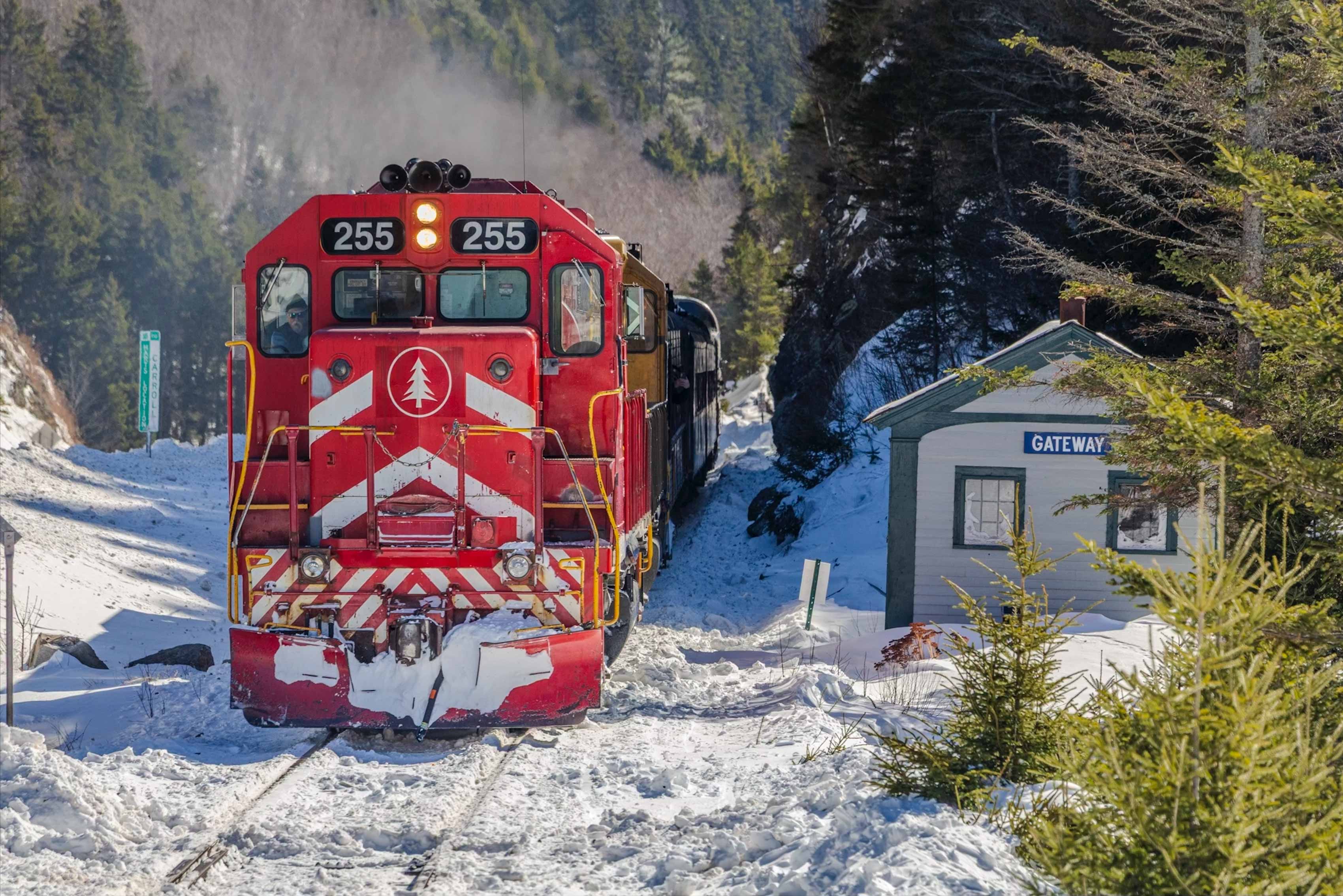 FEATURED: History, Holiday Magic, and a Season Full of Special Excursions