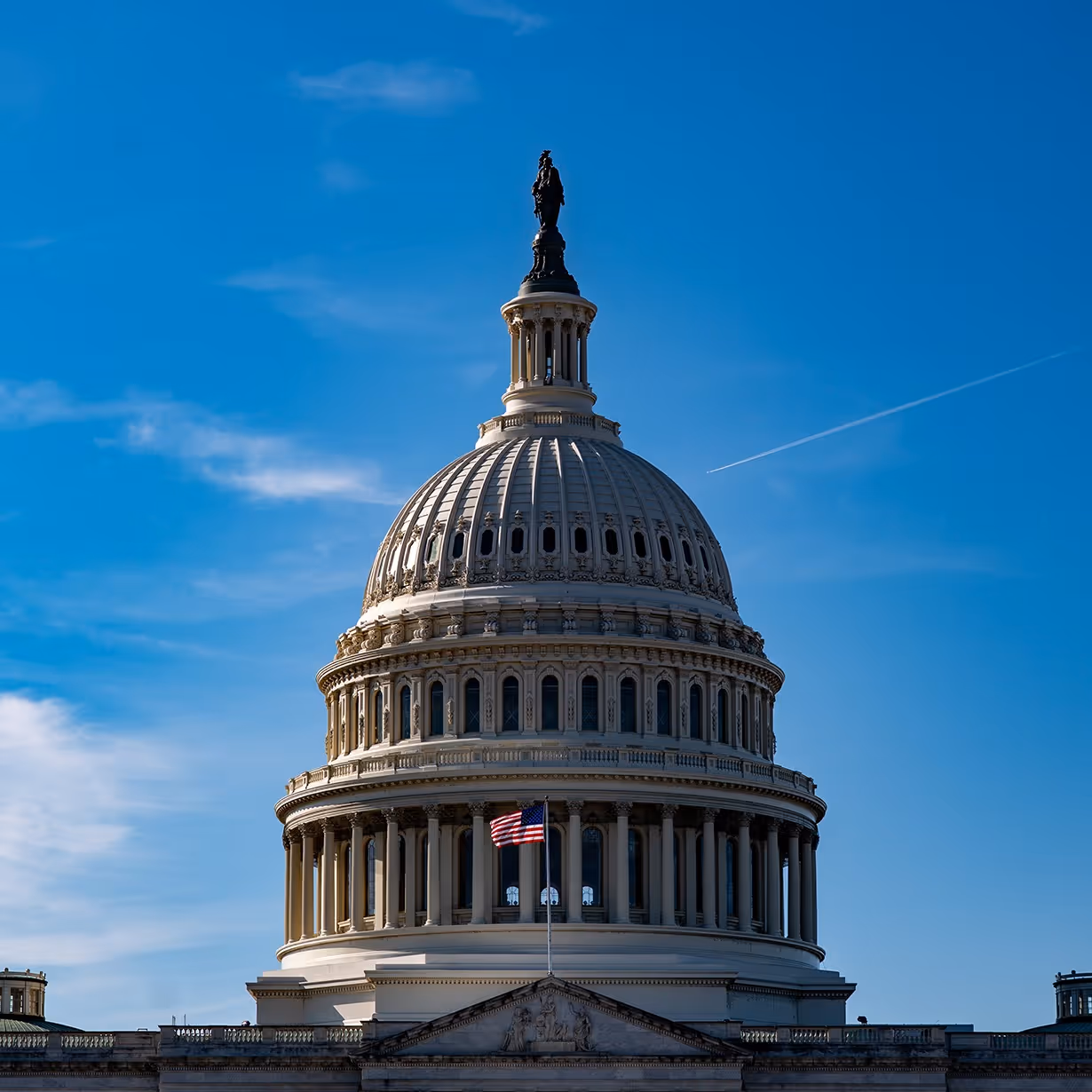 The U.S. Capitol Building