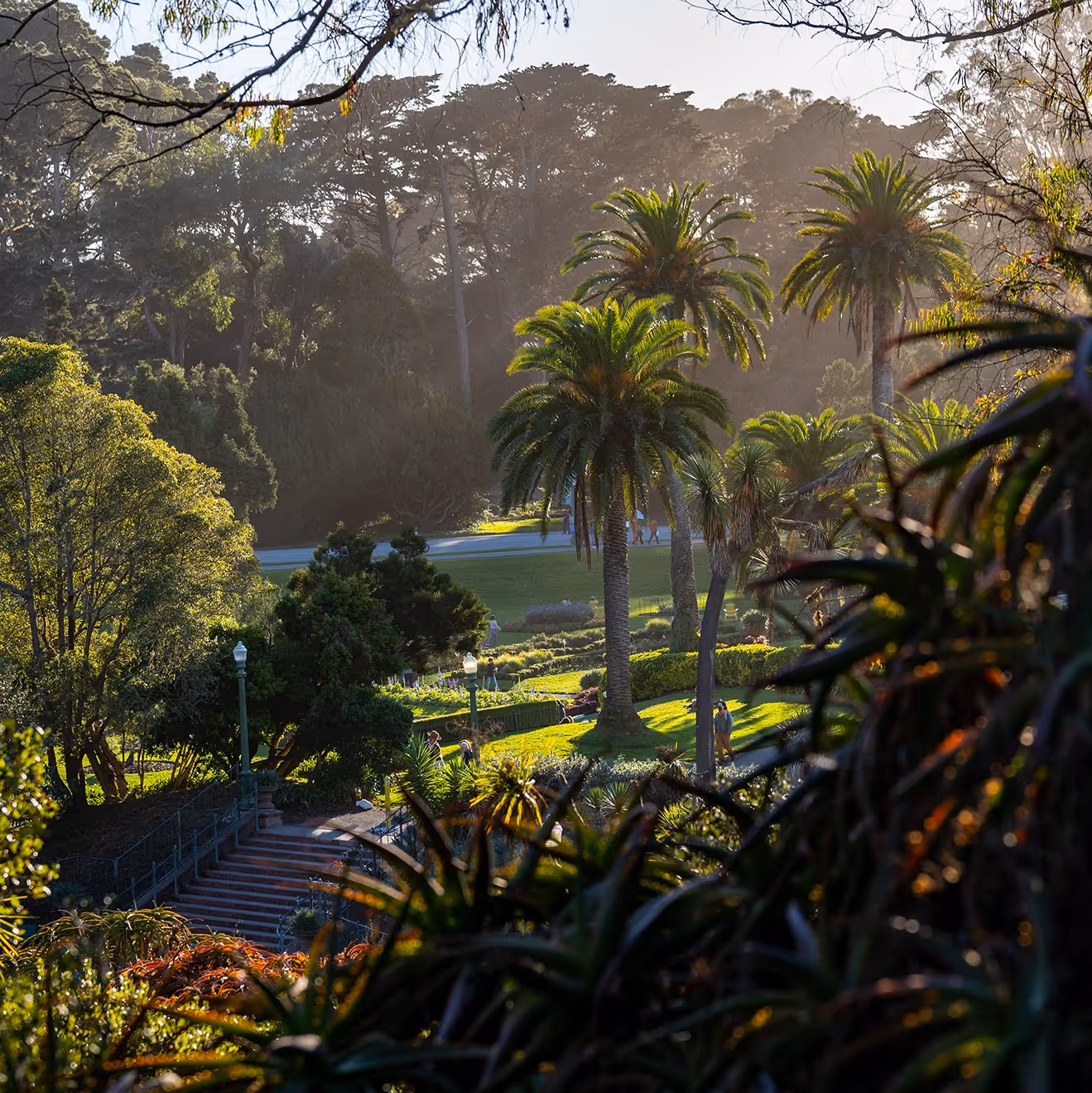 A beautiful park in San Francisco.
