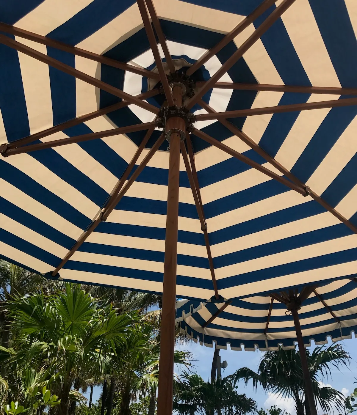 Solkräm på semestern, hur mycket? Bilden föreställer ett parasoll i Miami med palmer i bakgrunden.