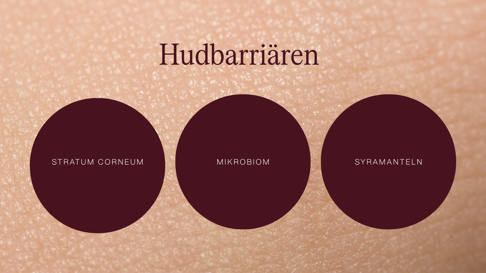 Hudbarriären
