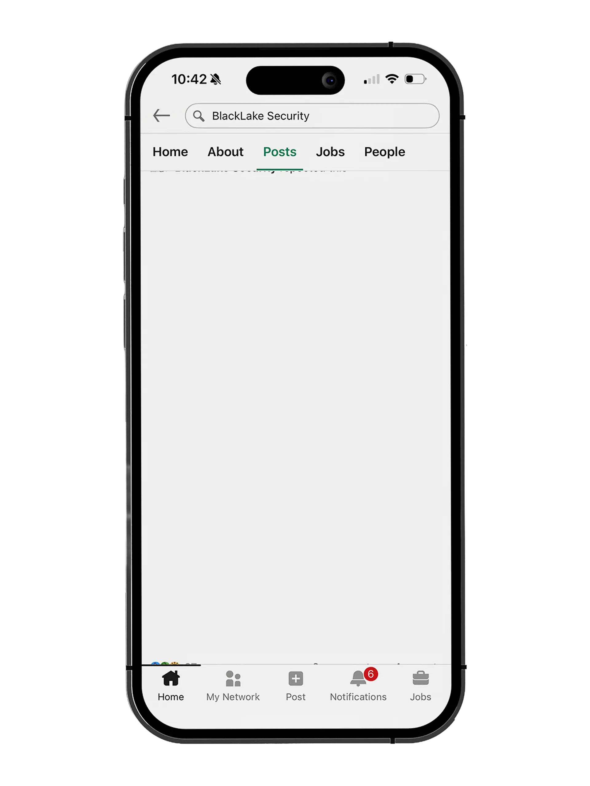 Smartphone screen showing a search for 'BlackLake Security' with menu tabs for Home, About, Posts, Jobs, and People, and navigation icons at the bottom including Home, My Network, Post, Notifications with 6 alerts, and Jobs.