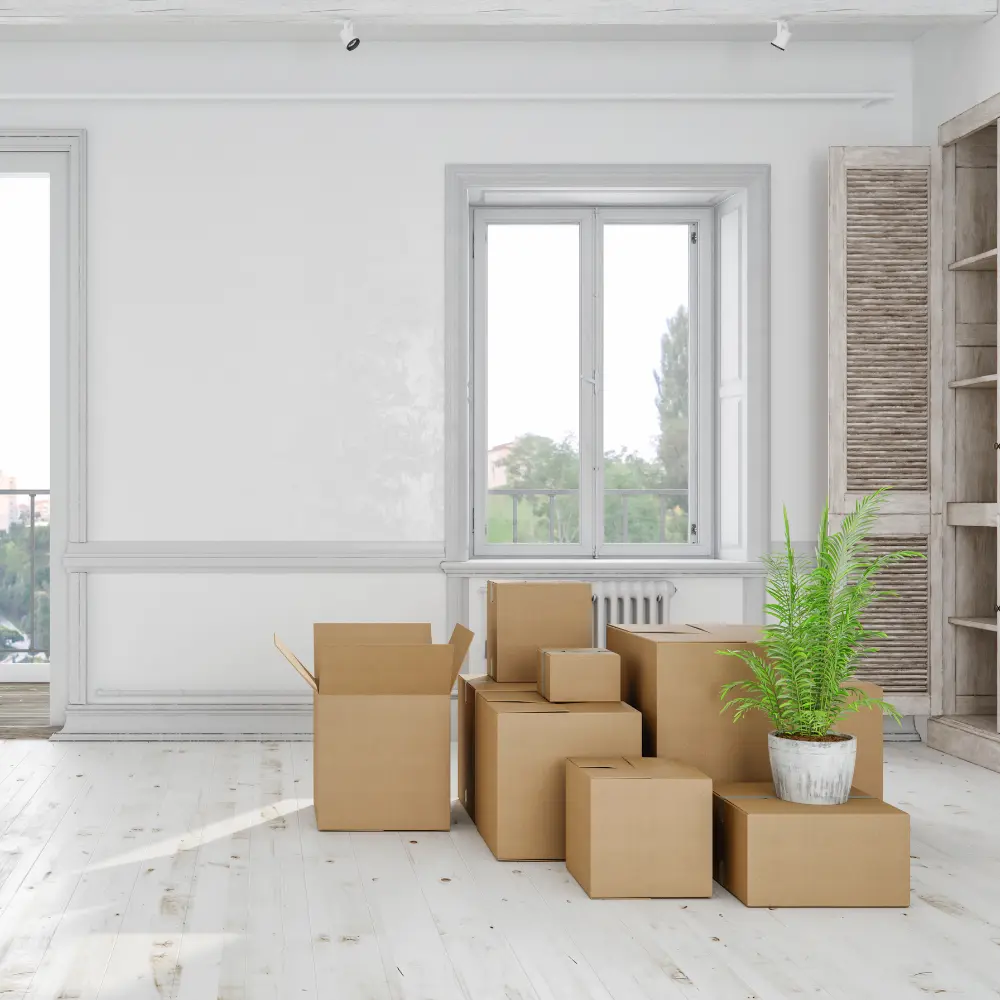 Empty room with moving boxes and plants near a bright window, representing move-in and move-out cleaning services.