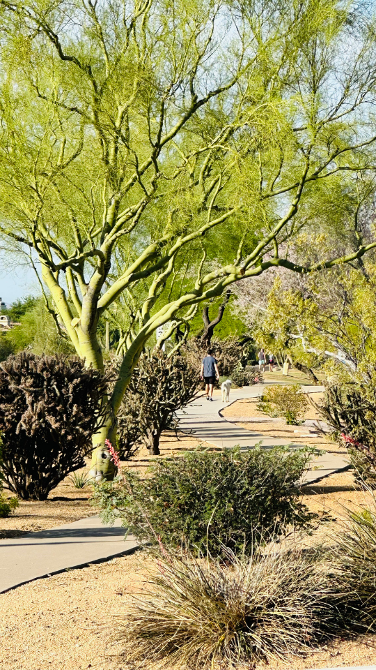 In today’s Smart City economy, safety isn’t simply about peace of mind—it’s becoming a measurable, marketable asset class. Scottsdale is proving that public safety can be engineered into the fabric of