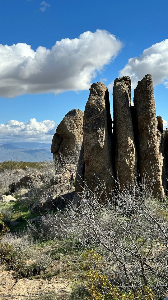 When a city’s skyline begins to change, it’s rarely just about architecture—it’s about ambition, identity, and the human stories that will fill those new walls. North Scottsdale is once again standing