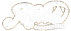 Mack Sign Designs Logo