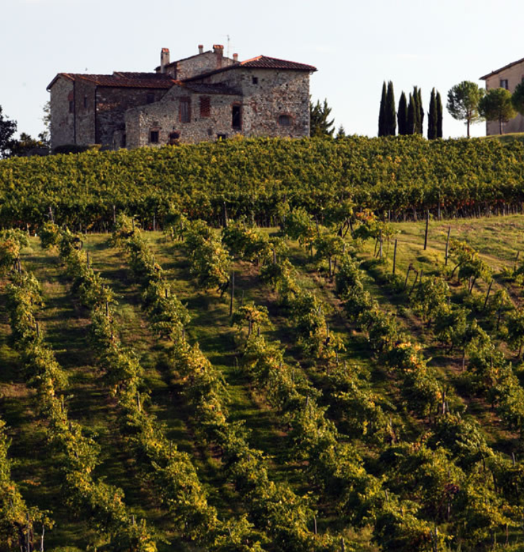 From Tuscan Vineyards to Martian Soil Rights the New Era of Prestige Property Ownership