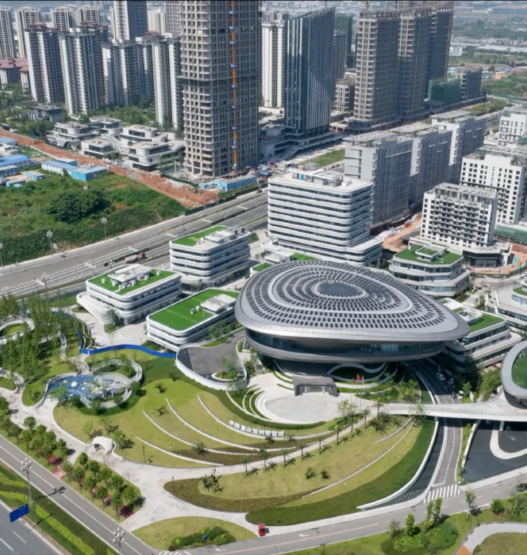 Heirless Billionaires Redesign Legacy Plans Around Foundations and Private Trust Cities