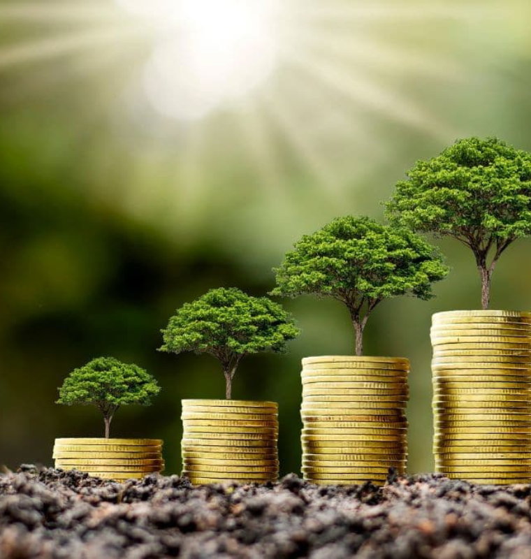 Billionaire Investors Shift Toward Sustainable Wealth and Green Asset Portfolios