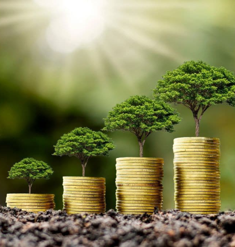 Elite Investors Shift Toward Sustainable Luxury and Green High Value Assets
