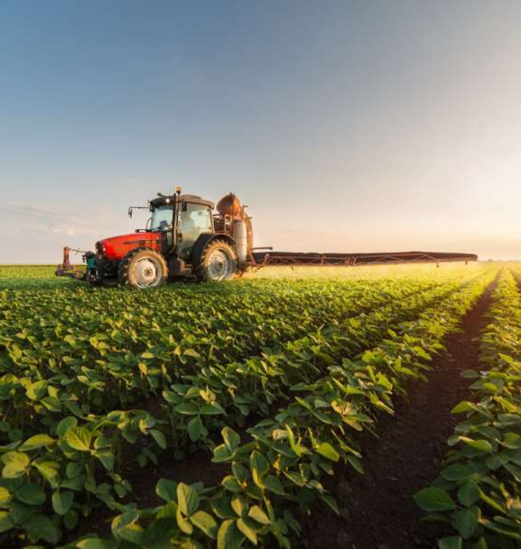 Trophy Farmland Emerges as the Ultimate Wealth Asset