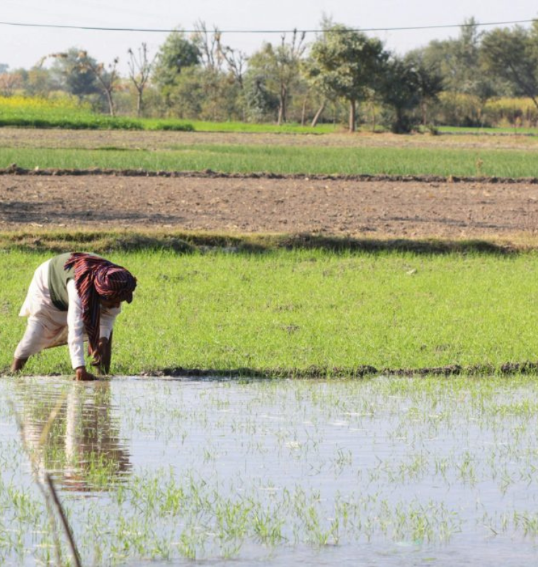 Ultra Wealthy Investors Quietly Accumulate Water Rights and Agricultural Assets as Climate Risk Rises