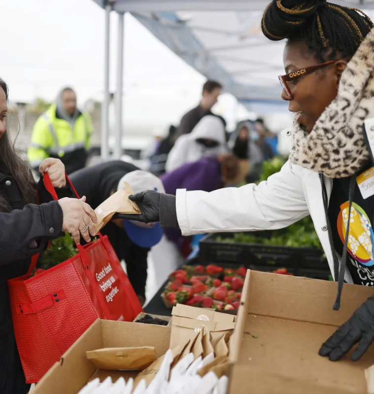 Offshore Philanthropy Platforms Gain Traction as High Net Worth Donors Seek Strategic Impact Governance