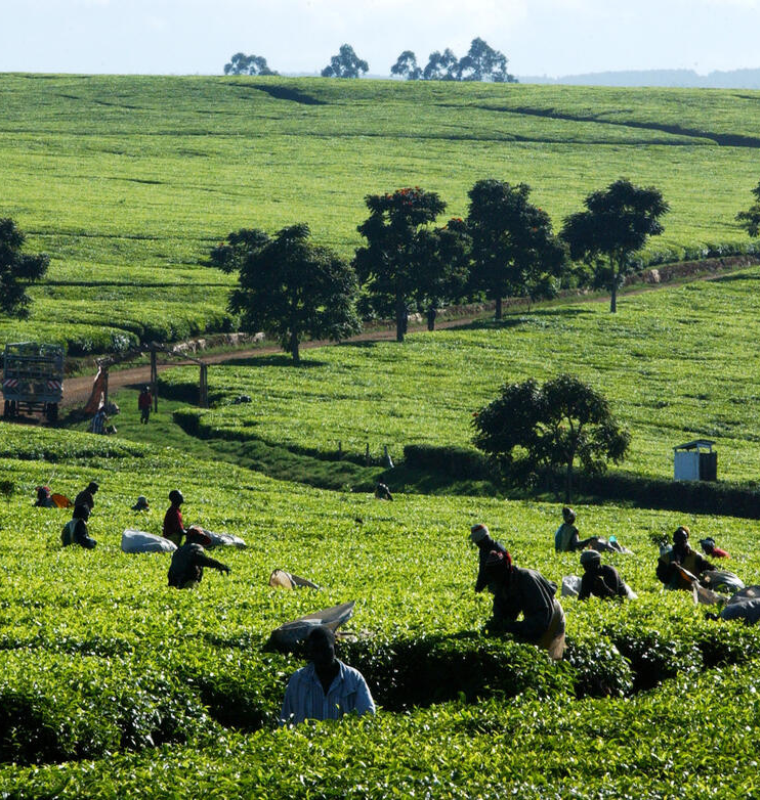 Ultra Rich Shift Cash Into Farmland and Water Rights as Climate Risk Becomes a Portfolio Priority