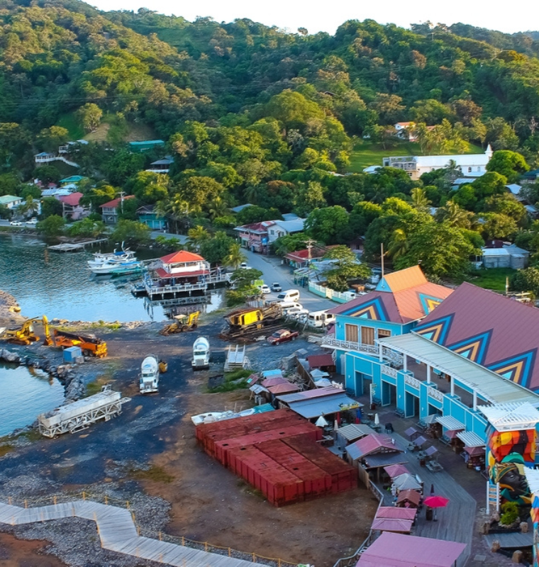 The Rise of Private Cities Funded by Billionaires Seeking Regulatory Freedom