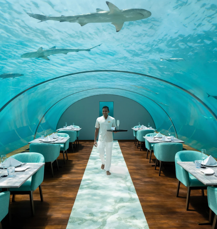 Billionaire Buyers Commission Underwater Residences with Private Coral Gardens and Submarine Garages