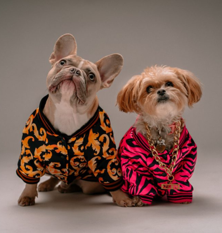Couture Pet Fashion and Diamond Studded Accessories Create Explosive New Market for Billionaire Pet Owners
