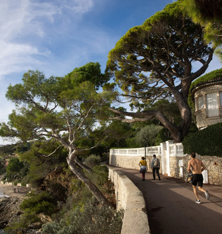 French Riviera Becomes the Epicenter of Elite Wealth Culture During Cannes and the New Era of Luxury Hospitality