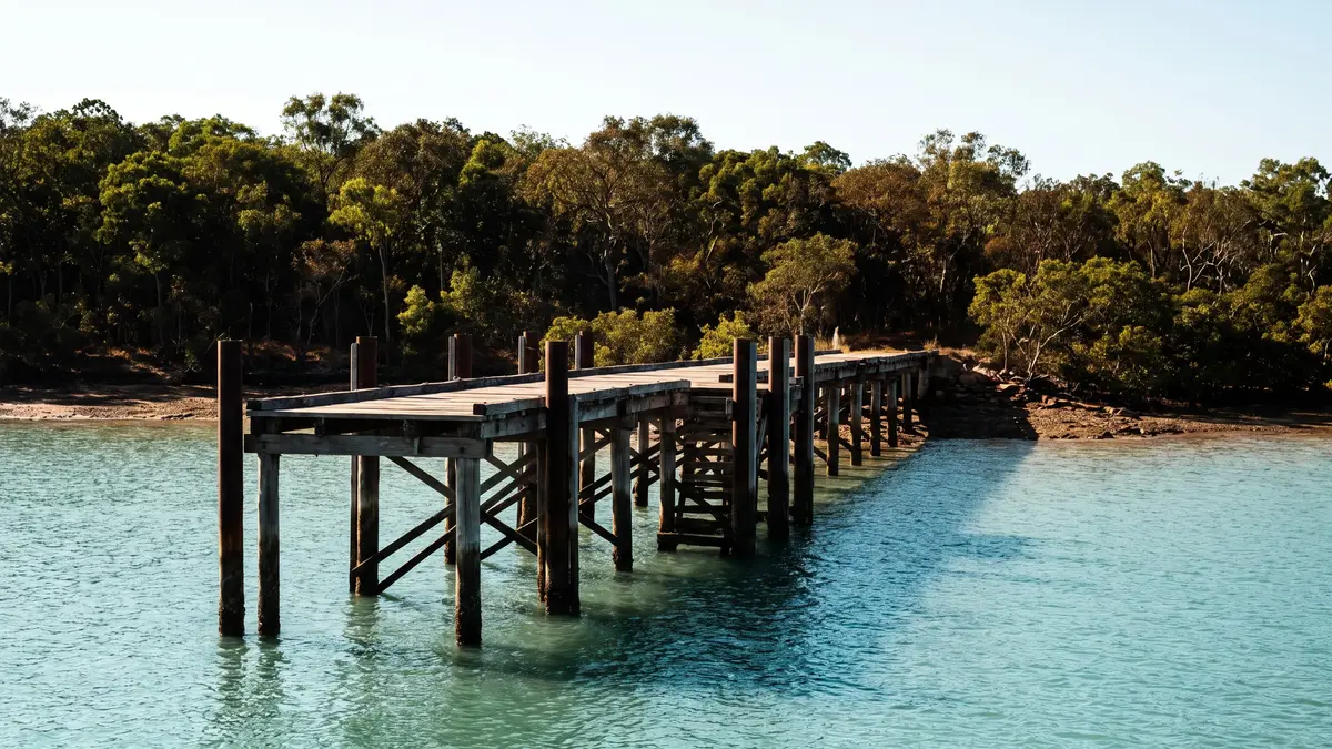 A timber jetty on pylons over calm turquoise water, with dense tropical woodland behind.