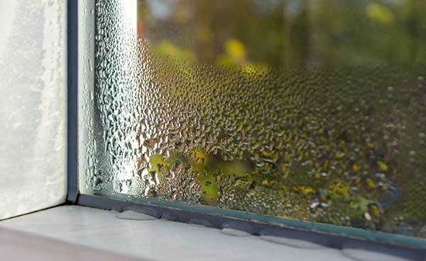 cropped-window-leak.jpg