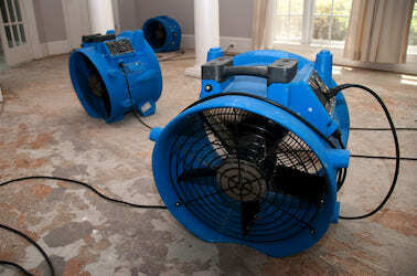 dehumidifying fan